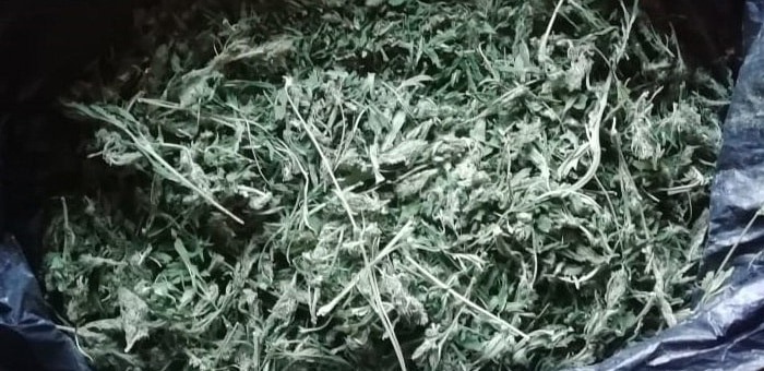 Почти 2 кг марихуаны нашли в пещере на Телецком озере