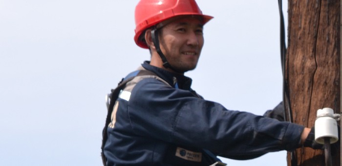 Россети Сибирь направили на ремонт электросетей Горного Алтая почти 200 млн рублей