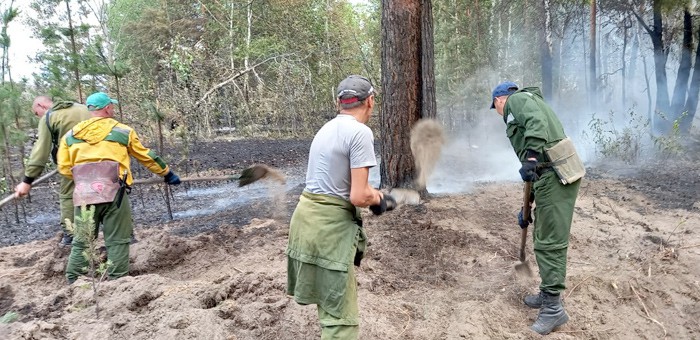 Летчик-наблюдатель с Алтая борется с лесными пожарами в Коми