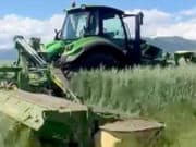 На Алтае стартовала кормозаготовительная кампания