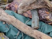 Жителя Балыкчи осудили за браконьерскую охоту на косулю Жителя Балыкчи осудили за браконьерскую охоту на косулю