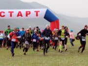 На Алтае пройдет фестиваль бега Manul trail На Алтае пройдет фестиваль бега Manul trail