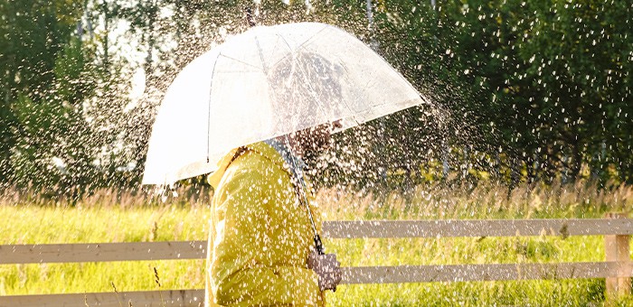 Прогноз погоды: снова ожидаются дожди и грозы