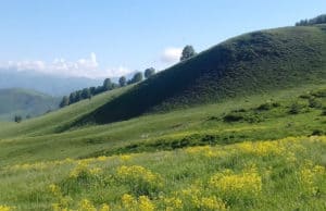 Двое иностранцев пытались незаконно пересечь госграницу в Республике Алтай