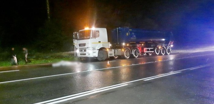 В селе Черемшанка грузовик насмерть сбил пешехода