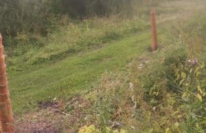 В Бешпельтире неизвестные осквернили обрядовое место у родника В Бешпельтире неизвестные осквернили обрядовое место у родника