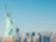 Купить товары из США, Европы с доставкой в РФ