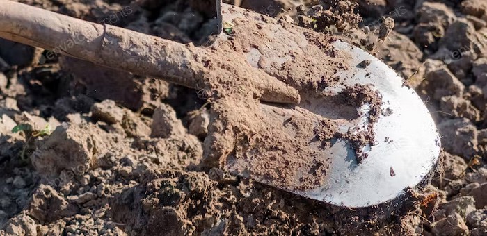 Разрубили тело лопатой, часть сожгли, остальное выбросили в Катунь: жуткое убийство раскрыли в Республике Алтай