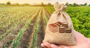 С начала года аграрии получили свыше 400 млн рублей субсидий