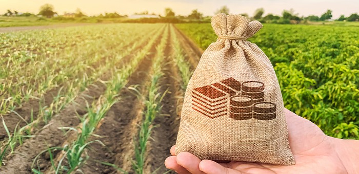 С начала года аграрии получили свыше 400 млн рублей субсидий