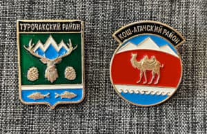 В двух муниципалитетах прошли довыборы в райсоветы Довыборы