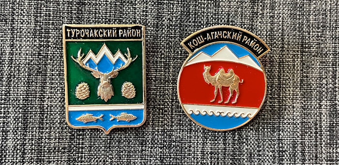 В двух муниципалитетах прошли довыборы в райсоветы