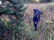 Найдены потерявшиеся в тайге юные сборщики кедрового ореха