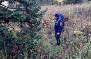 Найдены потерявшиеся в тайге юные сборщики кедрового ореха Найдены потерявшиеся в тайге юные сборщики кедрового ореха