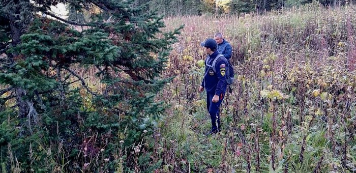 Найдены потерявшиеся в тайге юные сборщики кедрового ореха
