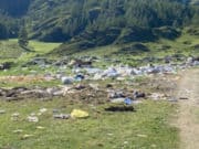 ОНФ обнаружил несанкционированные свалки вдоль дорог