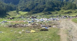 ОНФ обнаружил несанкционированные свалки вдоль дорог ОНФ обнаружил несанкционированные свалки вдоль дорог