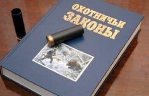 Житель Тувы застрелил марала в Алтайском заповеднике