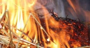 В Чаган-Узуне сгорело 20 центнеров сена