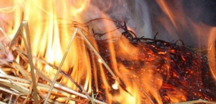 В Чаган-Узуне сгорело 20 центнеров сена
