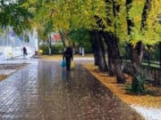 Прогноз погоды: будет прохладно Прогноз погоды: будет прохладно