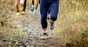 Соревнования по трейлраннингу Elanda trail-2022 пройдут в Горно-Алтайске