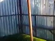 В Усть-Семе ребенку на голову упал остановочный павильон В Усть-Семе ребенку на голову упал остановочный павильон