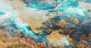 В Кош-Агачском районе ожидается высокая пожароопасность