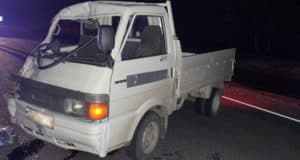 Автомобиль столкнулся с лошадью на Чемальском тракте Автомобиль столкнулся с лошадью на Чемальском тракте, 55-летняя женщина госпитализирована
