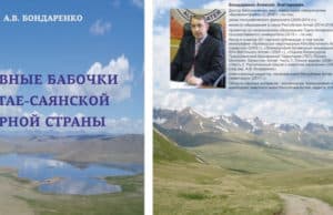 На Алтае издали монографию о дневных бабочках Алексей Бондаренко издал монографию о бабочках