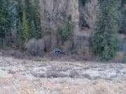 В Кош-Агачском районе разбился водитель иномарки В Кош-Агачском районе разбился водитель иномарки