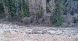 В Кош-Агачском районе разбился водитель иномарки В Кош-Агачском районе разбился водитель иномарки