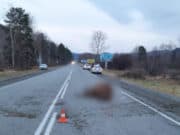 На Чуйском тракте снова произошли ДТП из-за разгуливающих сельхозживотных На Чуйском траке снова произошли ДТП из-за разгуливающих сельхозживотных