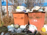 Суд обязал «Кызыл-Озек Сервис» составить и соблюдать график вывоза отходов