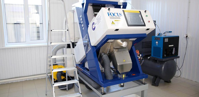 Цех по переработке кедрового ореха открыли в Горно-Алтайске