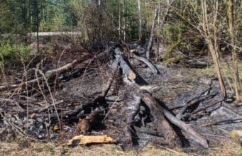 Тракторист, устроивший лесной пожар, возместит миллионный ущерб