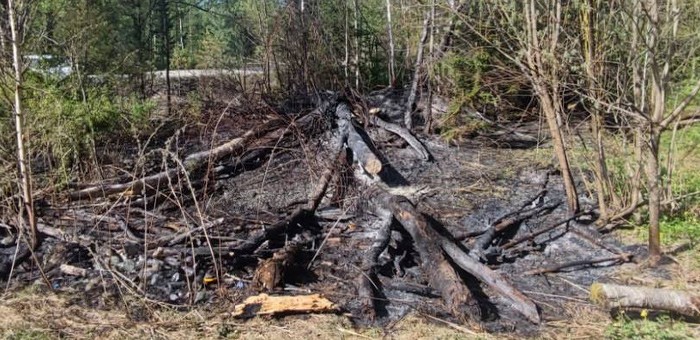 Тракторист, устроивший лесной пожар, возместит миллионный ущерб