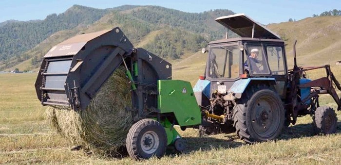 Кормозаготовительная кампания завершается в Республике Алтай