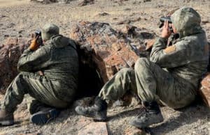 Учеты численности сибирского горного козла проходят в Республике Алтай