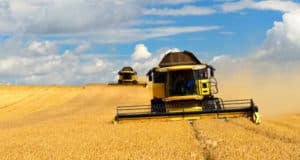 90% кредитов алтайским аграриям в этом году Россельхозбанк выдал на льготных условиях