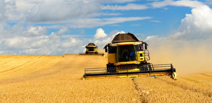 90% кредитов алтайским аграриям в этом году Россельхозбанк выдал на льготных условиях