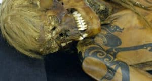Мумию воина с Укока покажут в Краеведческом музее Новосибирска