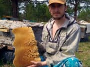 Мед из Турочакского района признан одним из лучших в России