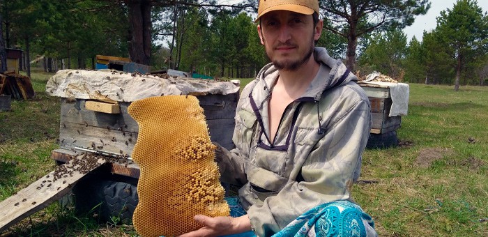 Мед из Турочакского района признан одним из лучших в России