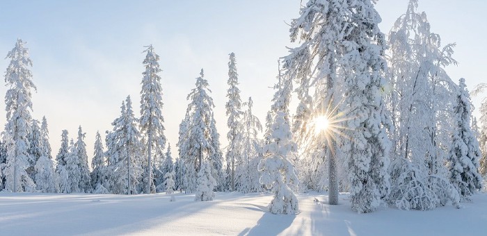 Календарная зима на Алтае начинается с суровых морозов