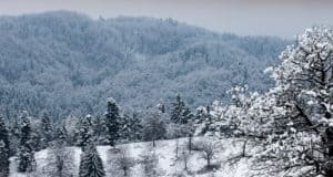 Прогноз погоды: в ближайшие дни ожидаются умеренные морозы Прогноз погоды: в ближайшие дни ожидаются умеренные морозы