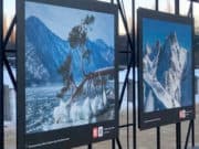 Фотографию «поклонной сосны» с Алтая выставили в Измайловском парке Москвы Фотографию «поклонной сосны» с Алтая выставили в Измайловском парке Москвы