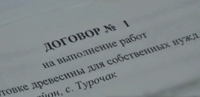 Бывшего директора турочакского лесничества отправили в колонию