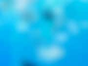 Системные интеграторы