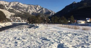 Последствия зажорных явлений на реке Чемал